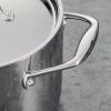 5 Quart Stainless Steel Dutch Oven with Lid   Oven and Cooktop Safe